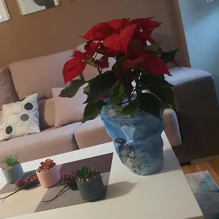 Дом отдыха Casa Maral