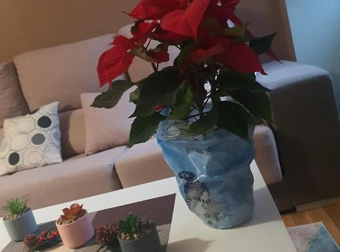 Сasa de vacaciones Casa Maral